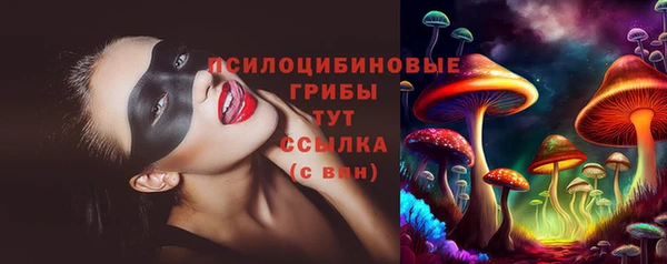 СК Щучье