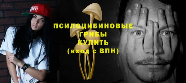 СК Щучье