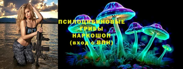 mix Щигры