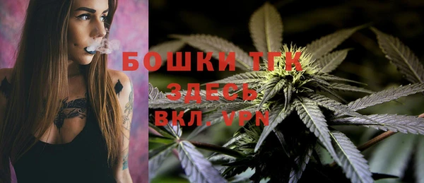 дурь Яровое