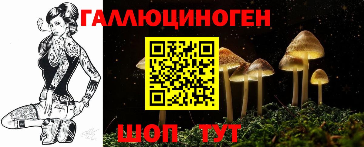 Псилоцибиновые грибы MAGIC MUSHROOMS  Вход с VPN  где можно купить   Ейск 