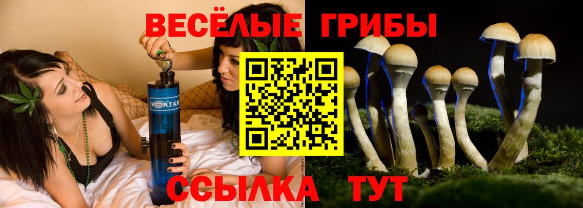 Псилоцибиновые грибы мухоморы Ейск