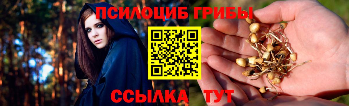 Псилоцибиновые грибы прущие грибы Ейск